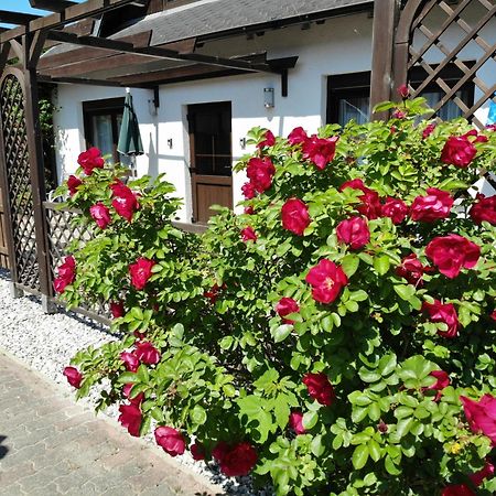 Ferienhaus Kress Links Sellin (Rugen) Exterior foto