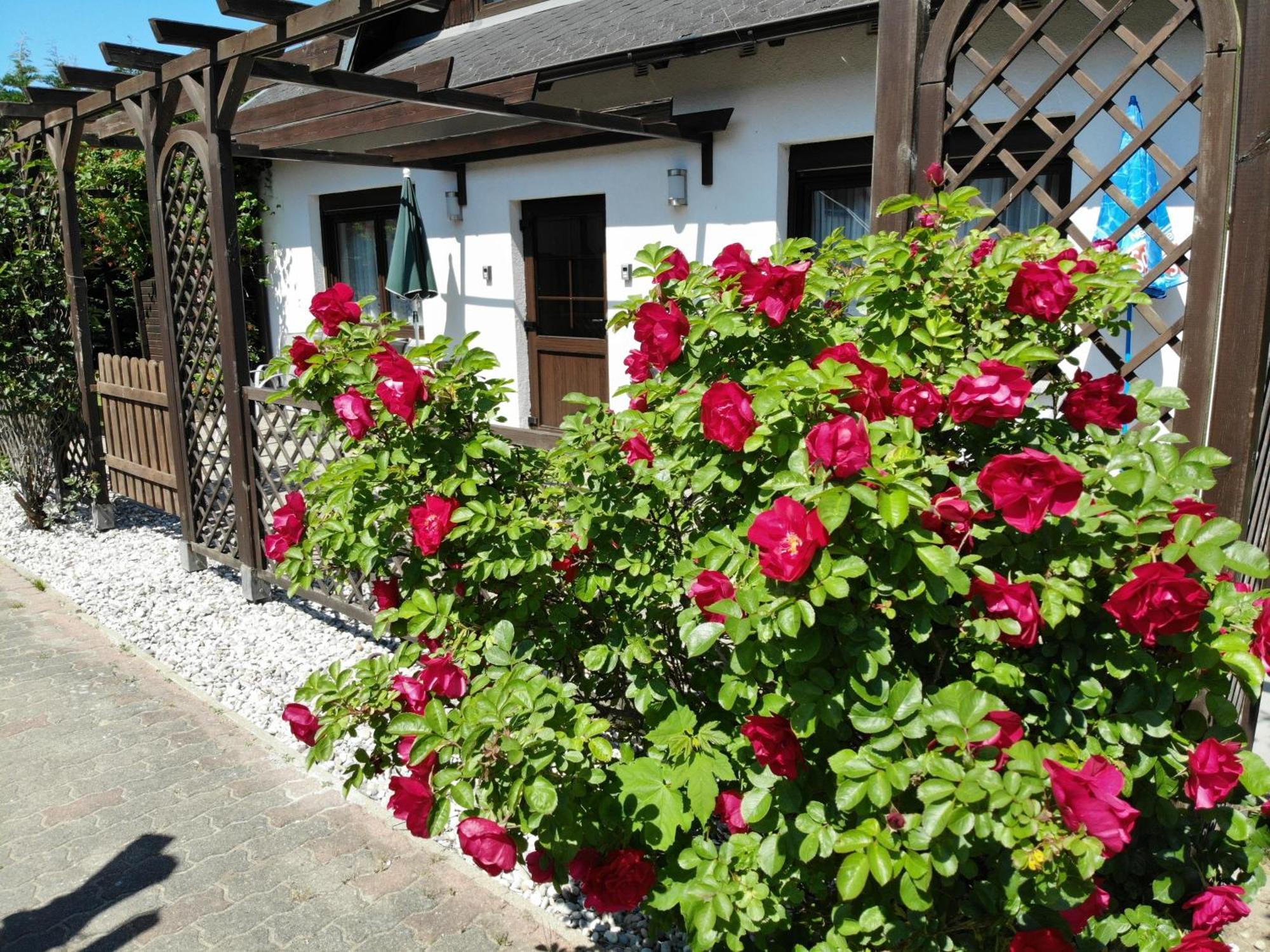 Ferienhaus Kress Links Sellin (Rugen) Exterior foto